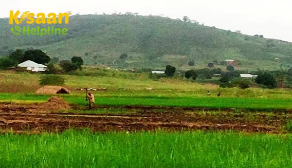 फ़ार्म फिक्स: कृषि बिलों की दो चिंताजनक, विशेषताएं जो वैध विरोध को आमंत्रित करती हैं